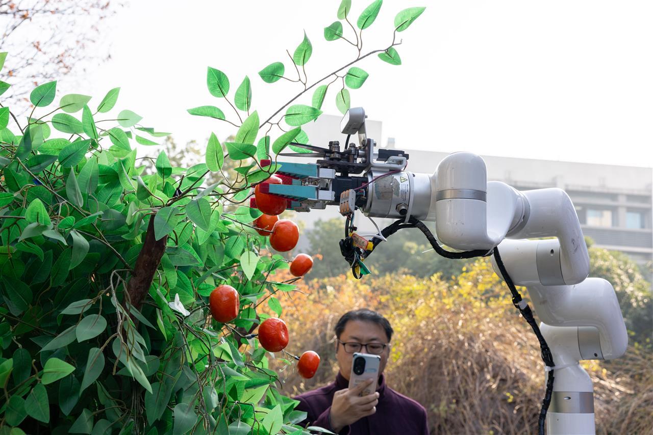 8 柑橘采摘机器人演示（学通社记者 赖德义 摄）.JPG