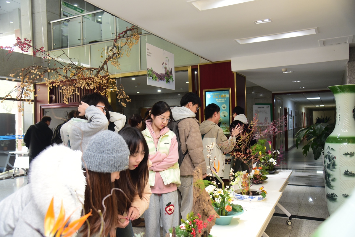 同学们驻足观赏.JPG 同学们驻足观赏.JPG